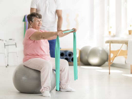 Back pain physiotherapy assessment at Physio Zones